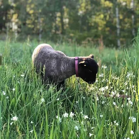 Shropshire House Holiday home