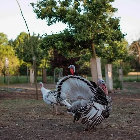 Holiday home Shropshire House *