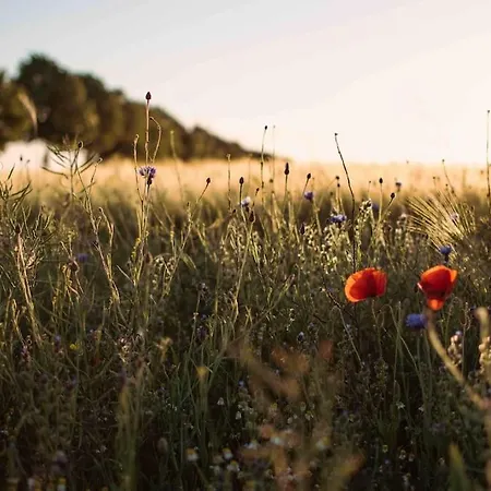 Holiday home Shropshire House