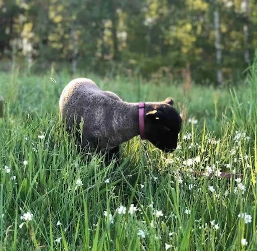 Shropshire House Hébergement de vacances