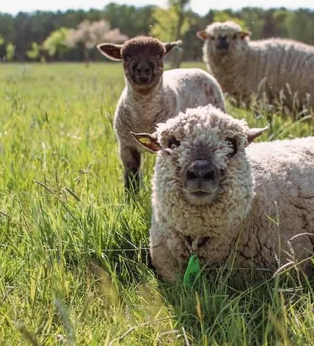 Hébergement de vacances Shropshire House