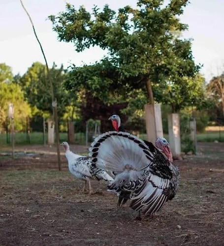 Hébergement de vacances Shropshire House *
