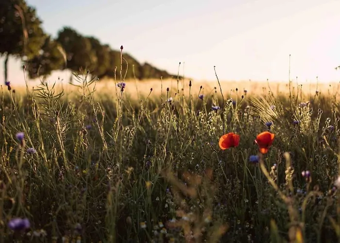 Hébergement de vacances Shropshire House