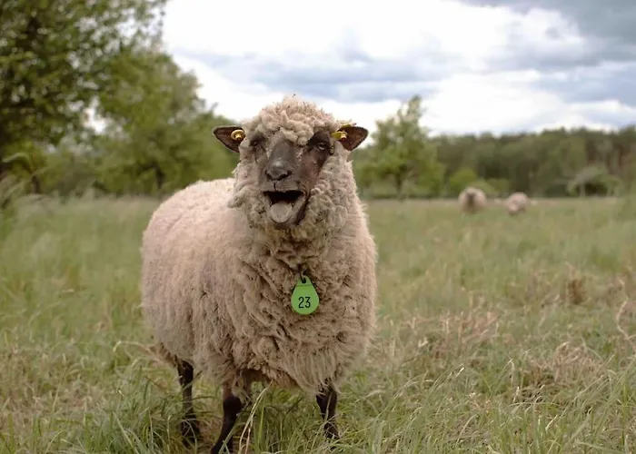 Shropshire House Hébergement de vacances *